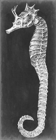 Seahorse Blueprint I White Modern Wood Framed Art Print with Double Matting by Vision Studio
