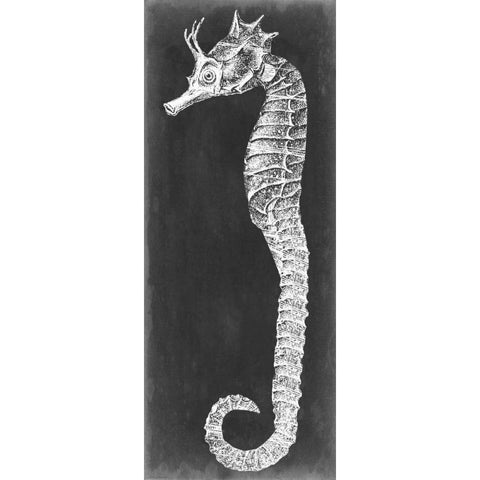 Seahorse Blueprint I Black Modern Wood Framed Art Print with Double Matting by Vision Studio