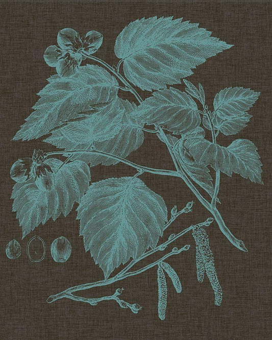 Image Only