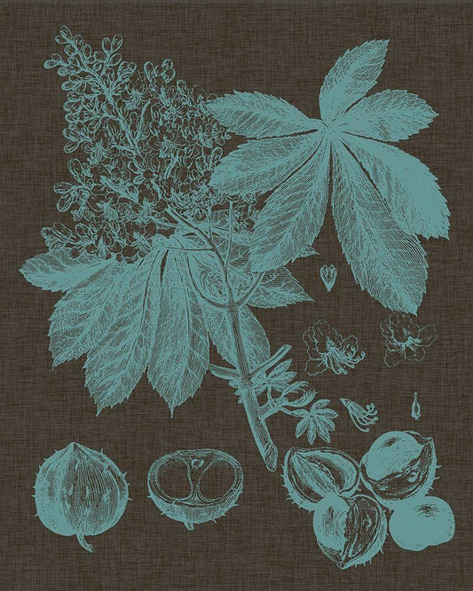 Image Only