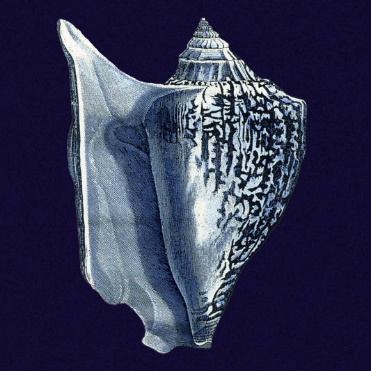 Image Only
