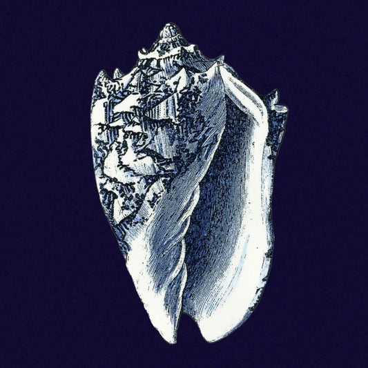 Image Only
