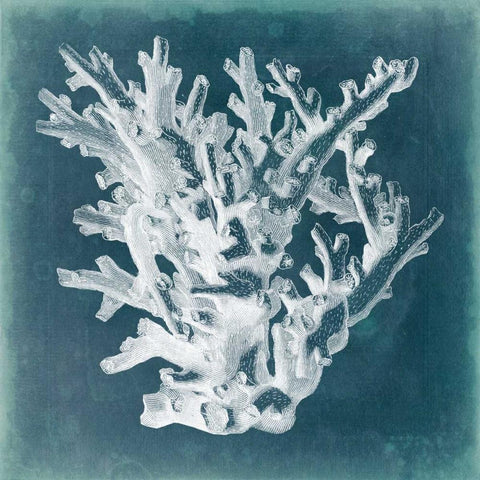Azure Coral I Black Modern Wood Framed Art Print with Double Matting by Vision Studio