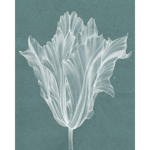 Monochrome Tulip V White Modern Wood Framed Art Print by Goldberger, Jennifer