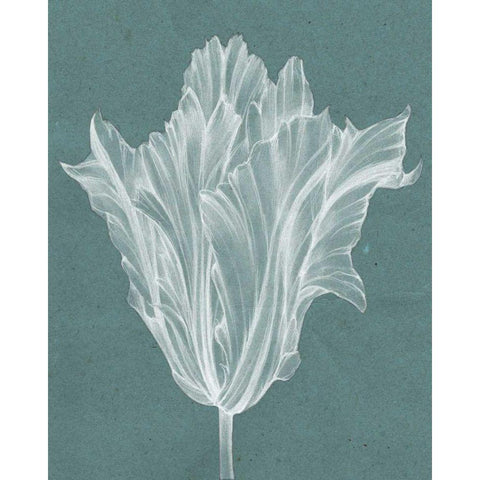 Monochrome Tulip V Black Modern Wood Framed Art Print by Goldberger, Jennifer