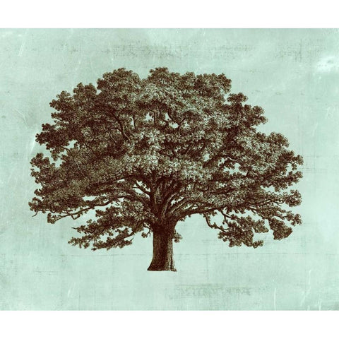 Spa Tree I Black Modern Wood Framed Art Print with Double Matting by Vision Studio