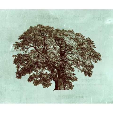 Spa Tree II Black Modern Wood Framed Art Print with Double Matting by Vision Studio