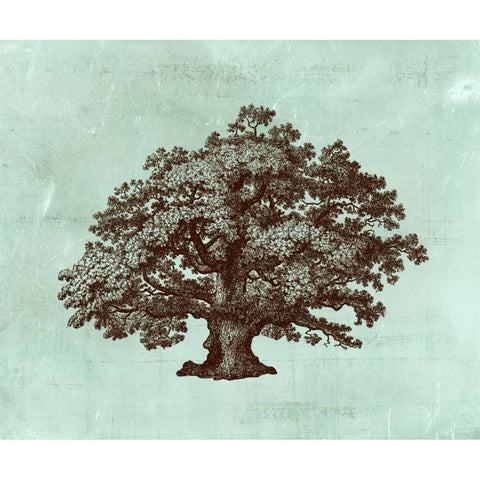 Spa Tree III White Modern Wood Framed Art Print by Vision Studio