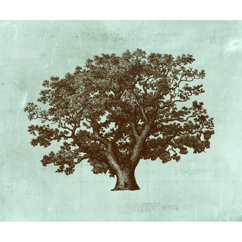 Spa Tree IV White Modern Wood Framed Art Print by Vision Studio