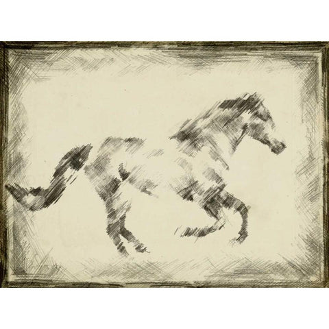 Equine Study I Black Modern Wood Framed Art Print with Double Matting by Harper, Ethan