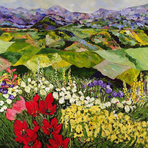 High Mountain Patch White Modern Wood Framed Art Print with Double Matting by Friedlander, Allan