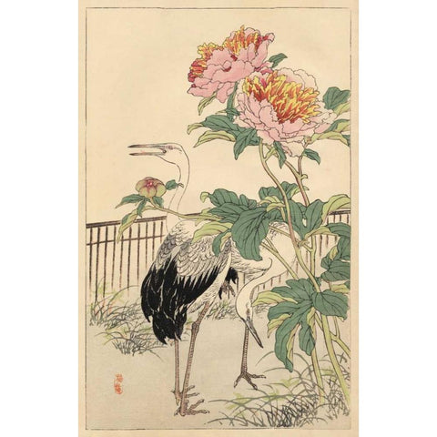 Crane and Peony Black Modern Wood Framed Art Print with Double Matting by Bairei