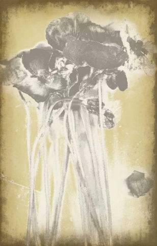 Poppies in Relief I Black Ornate Wood Framed Art Print with Double Matting by Goldberger, Jennifer