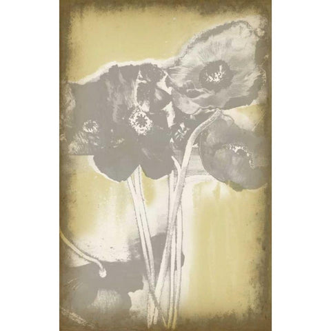 Poppies in Relief II Gold Ornate Wood Framed Art Print with Double Matting by Goldberger, Jennifer