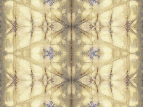 Mirrored Abstraction II Black Ornate Wood Framed Art Print with Double Matting by Goldberger, Jennifer