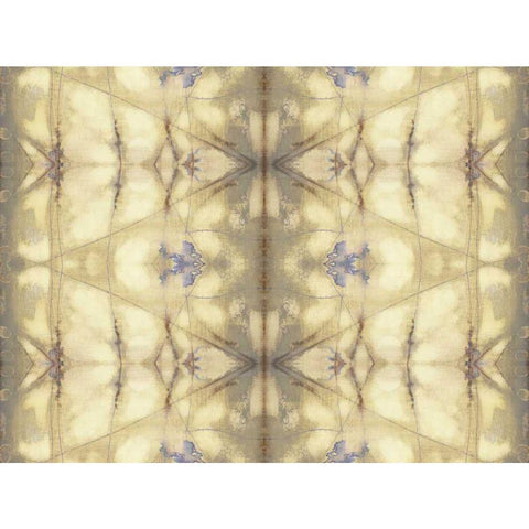 Mirrored Abstraction II Black Modern Wood Framed Art Print by Goldberger, Jennifer