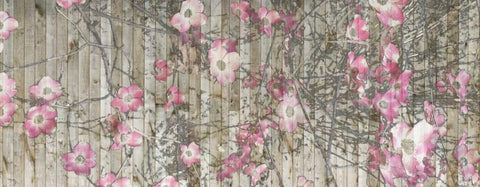 Dogwood Dance I White Modern Wood Framed Art Print with Double Matting by Goldberger, Jennifer