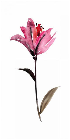 Floral Watercolor II White Modern Wood Framed Art Print with Double Matting by Mosley, Kiana