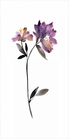 Floral Watercolor III Black Ornate Wood Framed Art Print with Double Matting by Mosley, Kiana