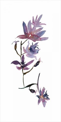 Floral Watercolor IV White Modern Wood Framed Art Print with Double Matting by Mosley, Kiana