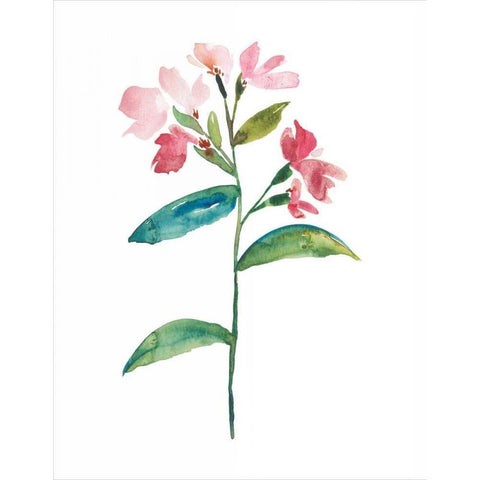 Watercolor Garden III Black Modern Wood Framed Art Print with Double Matting by Mosley, Kiana