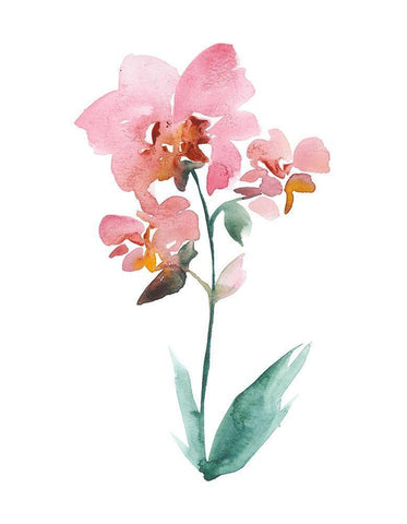 Watercolor Garden V White Modern Wood Framed Art Print with Double Matting by Mosley, Kiana