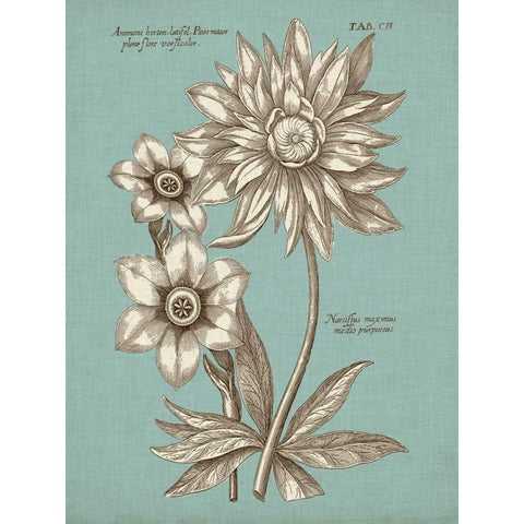 Chambray Chintz I Black Modern Wood Framed Art Print with Double Matting by Vision Studio