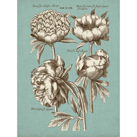 Chambray Chintz II Black Modern Wood Framed Art Print with Double Matting by Vision Studio