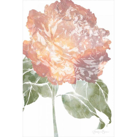 Watercolor Bloom I Gold Ornate Wood Framed Art Print with Double Matting by Goldberger, Jennifer