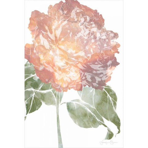 Watercolor Bloom I Black Modern Wood Framed Art Print by Goldberger, Jennifer