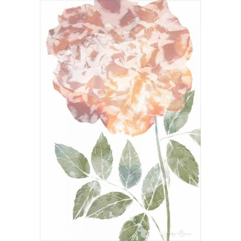 Watercolor Bloom III White Modern Wood Framed Art Print by Goldberger, Jennifer