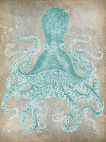 Spa Octopus I White Modern Wood Framed Art Print with Double Matting by Goldberger, Jennifer
