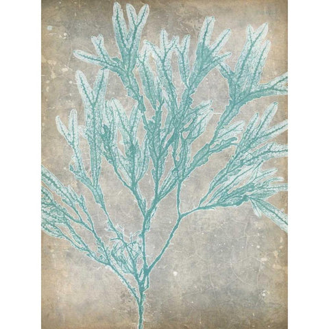 Spa Seaweed I Black Modern Wood Framed Art Print by Goldberger, Jennifer