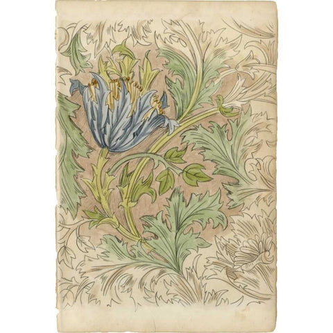 Floral Pattern Study III Gold Ornate Wood Framed Art Print with Double Matting by Harper, Ethan