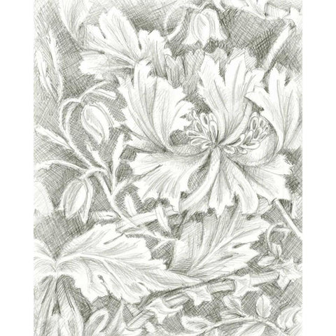 Floral Pattern Sketch I Gold Ornate Wood Framed Art Print with Double Matting by Harper, Ethan
