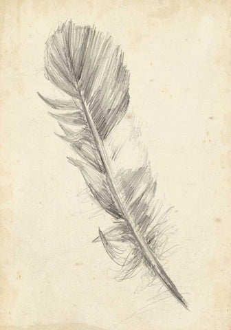 Feather Sketch I White Modern Wood Framed Art Print with Double Matting by Harper, Ethan
