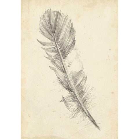 Feather Sketch I Gold Ornate Wood Framed Art Print with Double Matting by Harper, Ethan