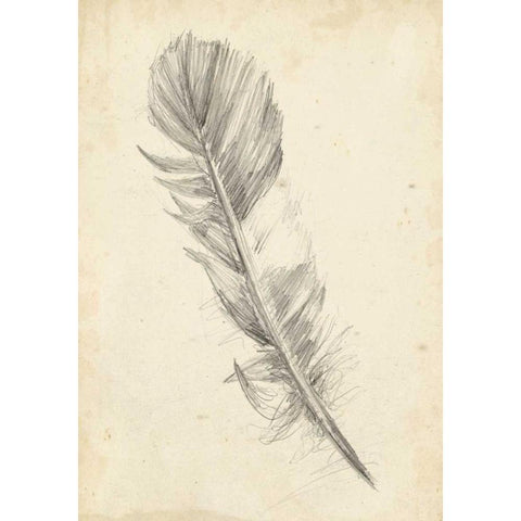 Feather Sketch I Black Modern Wood Framed Art Print by Harper, Ethan