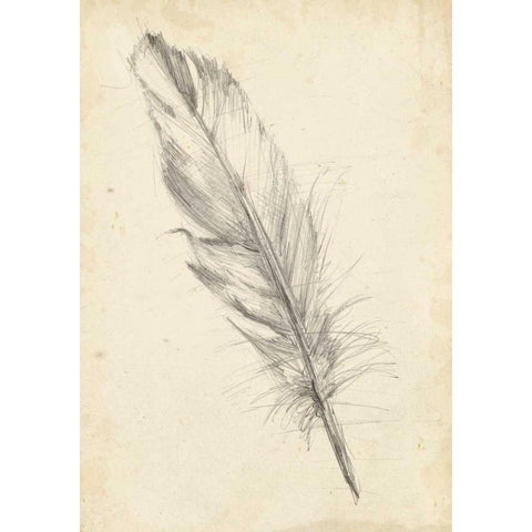 Feather Sketch III Gold Ornate Wood Framed Art Print with Double Matting by Harper, Ethan