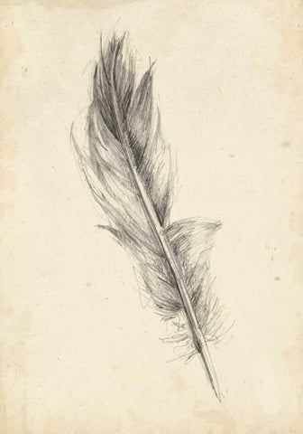 Feather Sketch IV White Modern Wood Framed Art Print with Double Matting by Harper, Ethan
