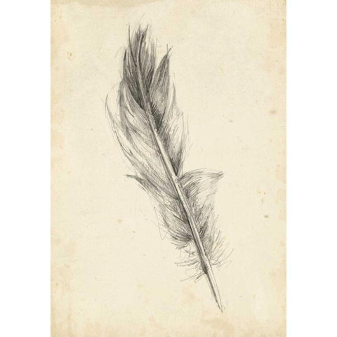 Feather Sketch IV Black Modern Wood Framed Art Print with Double Matting by Harper, Ethan