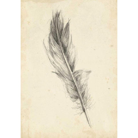 Feather Sketch IV Black Modern Wood Framed Art Print by Harper, Ethan