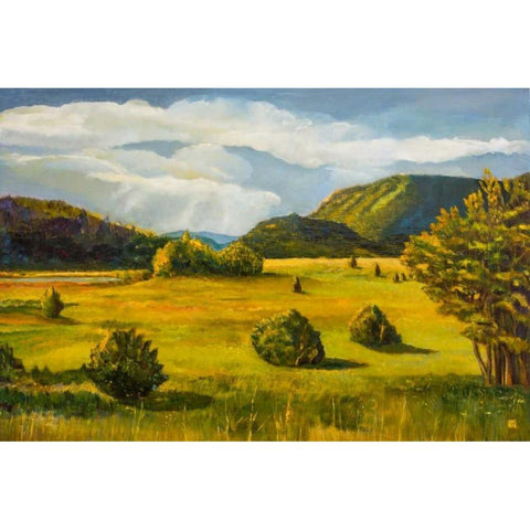 Falls Creek White Modern Wood Framed Art Print by DAgostino, Judith