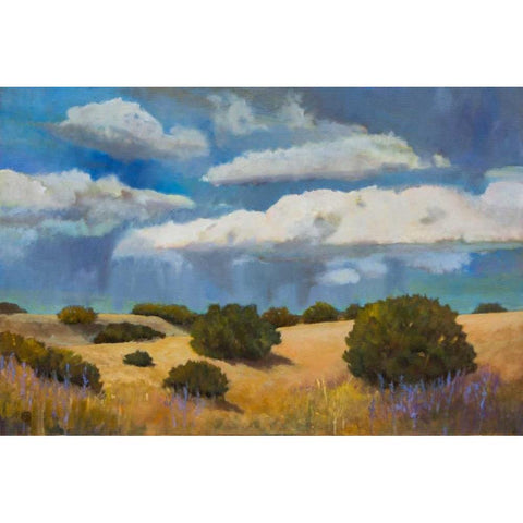 Brewing Storm Black Modern Wood Framed Art Print by DAgostino, Judith