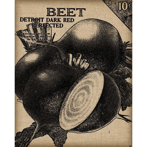 Vintage Seed Pack III Black Modern Wood Framed Art Print with Double Matting by Vision Studio