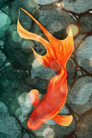 Fantail I White Modern Wood Framed Art Print with Double Matting by Ludwig, Alicia