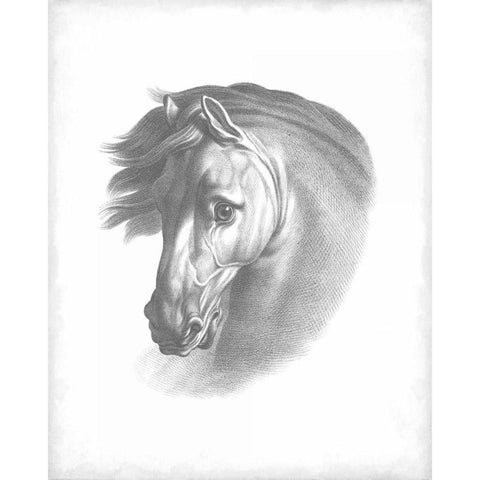 Equestrian Blueprint I White Modern Wood Framed Art Print by Vision Studio