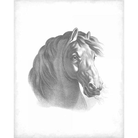 Equestrian Blueprint II Gold Ornate Wood Framed Art Print with Double Matting by Vision Studio