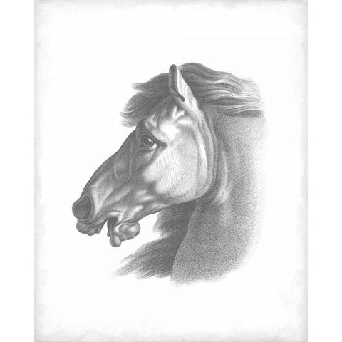 Equestrian Blueprint III Black Modern Wood Framed Art Print by Vision Studio