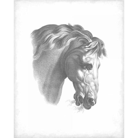 Equestrian Blueprint IV Black Modern Wood Framed Art Print by Vision Studio